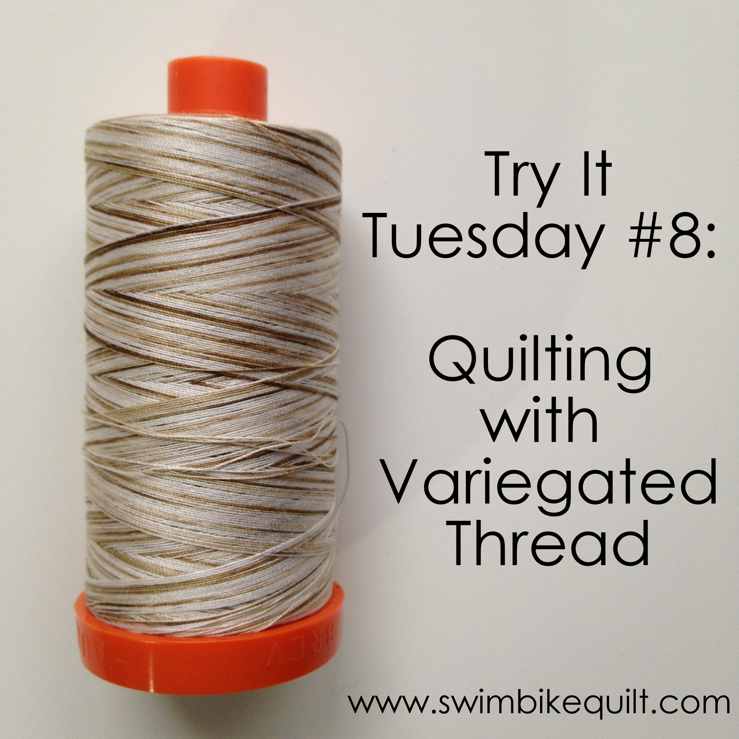 Quilting with Variegated Thread // Try it Tuesday — Swim Bike Quilt