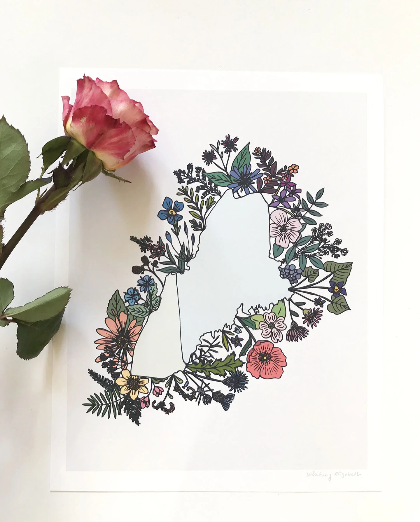 New England Floral Print  [11x14]