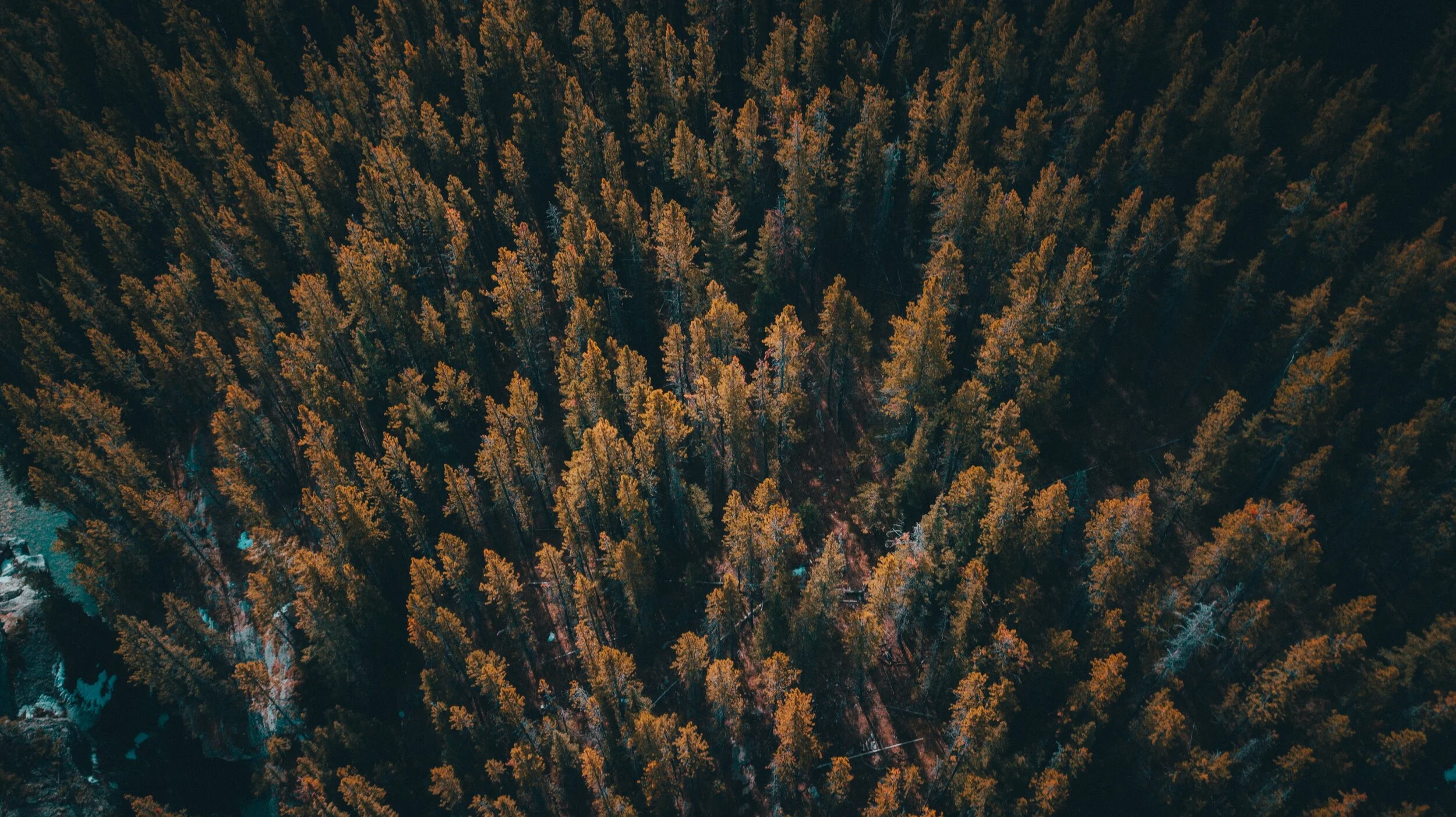 ben-den-engelsen-h-oei2WjZQI-unsplash.jpg