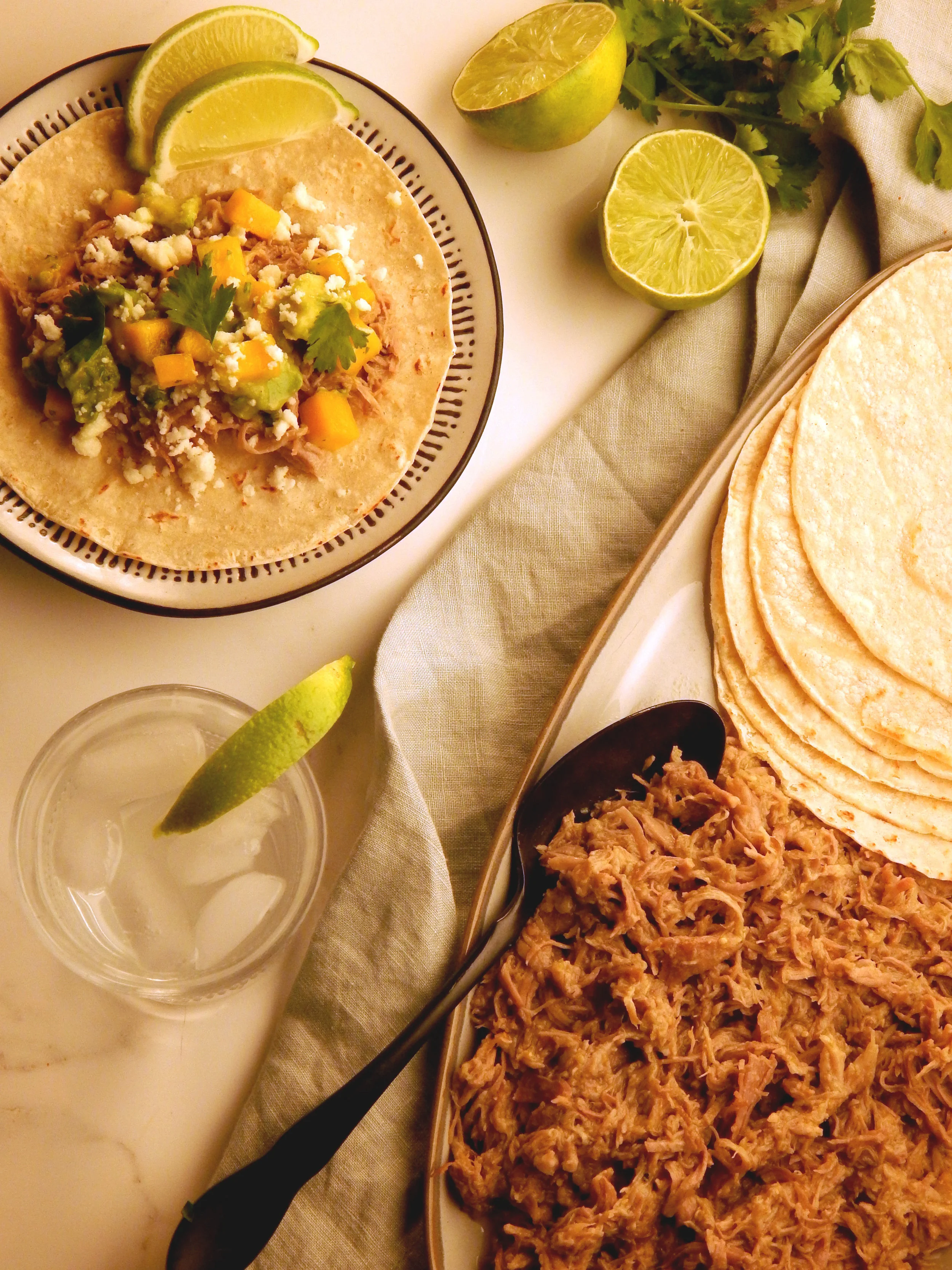 Chile Verde Pulled Pork + Mango Avocado Salsa