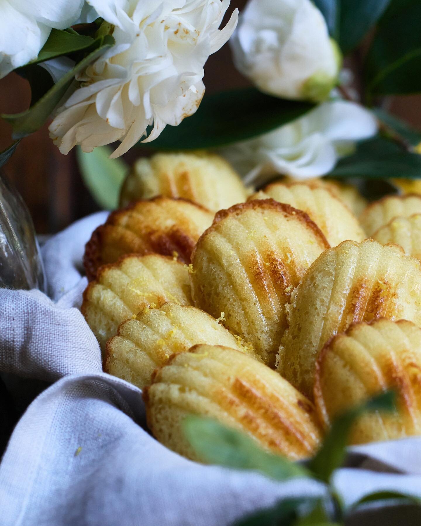 Meyer Lemon Madeleines made on a rainy day earlier this week. ⁠
⁠
Even in this first week of March, the weather starts to change. A few buds on fruit trees, a few more hours in the day. The light is beginning to shift, as the softer warmth of spring 