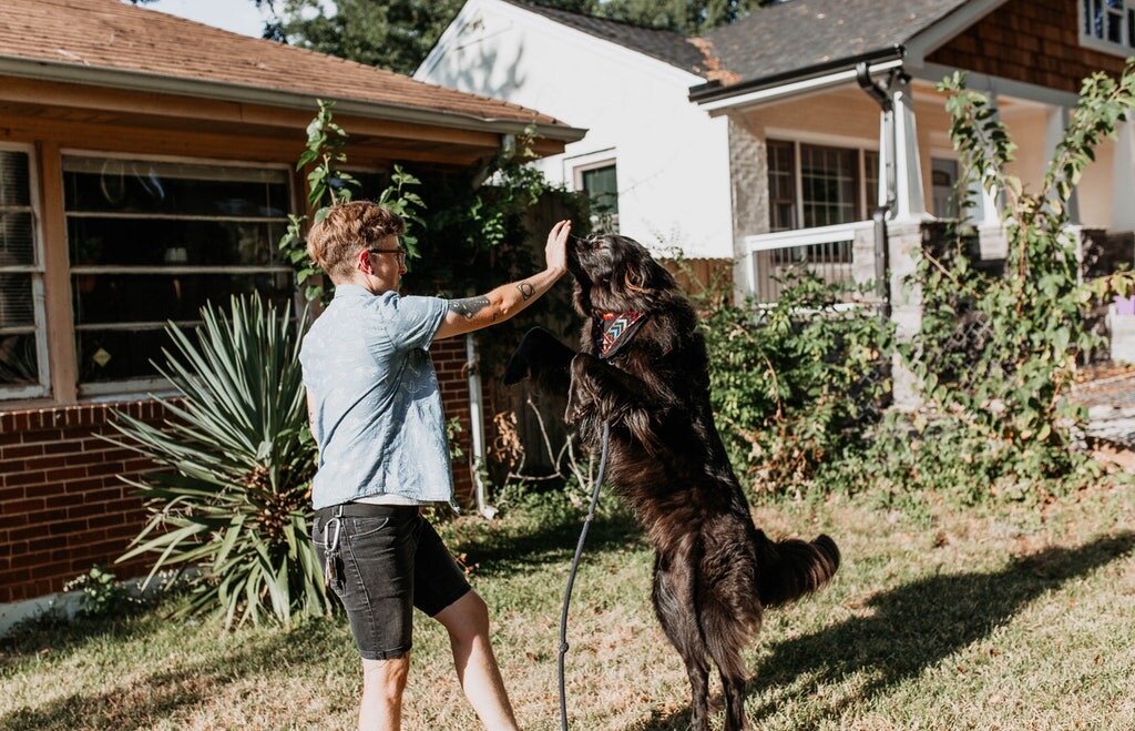 Private Dog Training