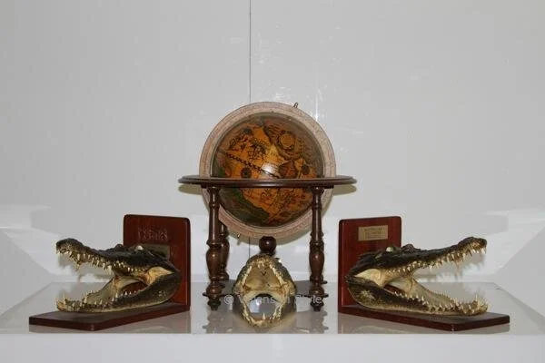 Crocodile Head Bookends with Miniature Globe