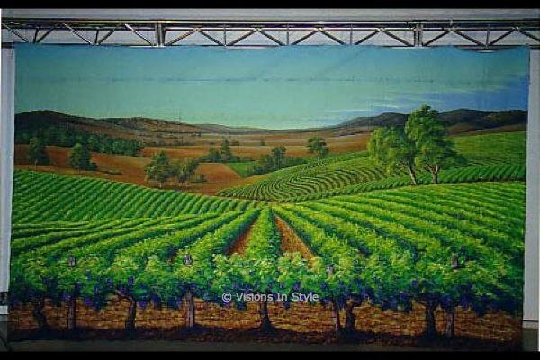 Tuscan Vineyard Backdrop