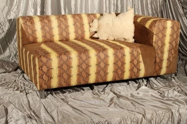 Python Couch with Goat Skin Cushion