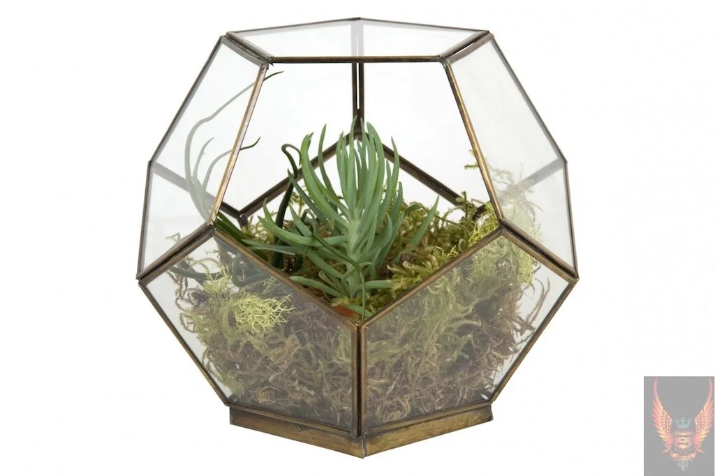 Geometric Terrarium