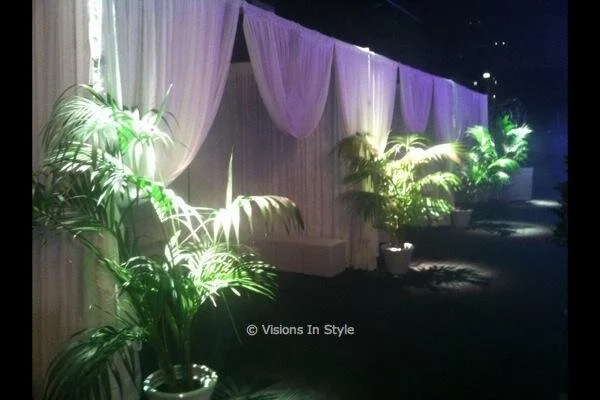 White Draped Entranceway