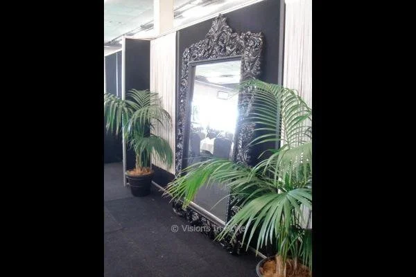 Large Black Ornate Framed Mirror