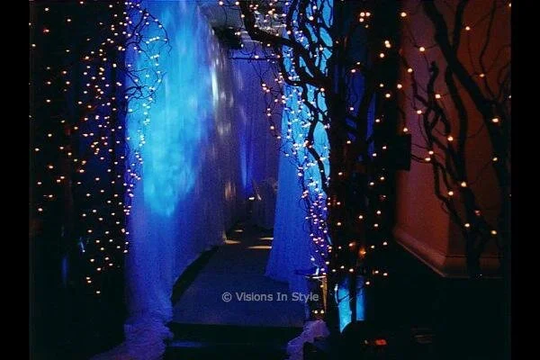 Fairy Light Entranceway