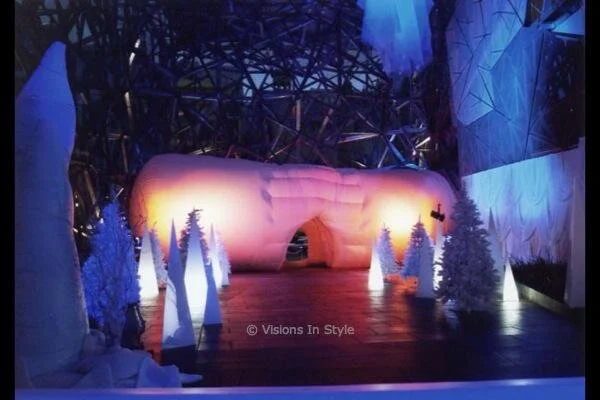 Ice Fantasy Entrance Decor