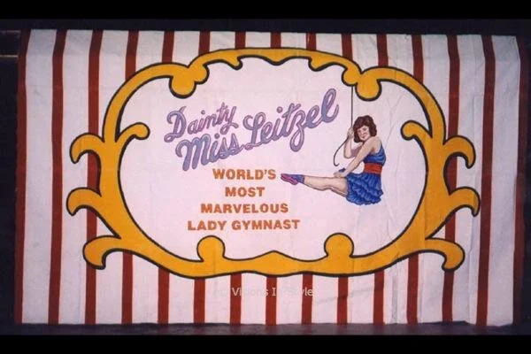 Circus Backdrop Trapeze