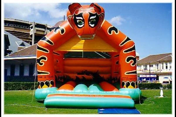 Tiger Jumping Castle