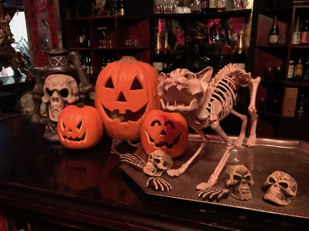 Cat Skeleton Display