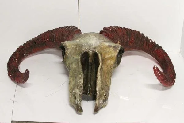 Ram Horn Skull