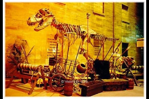 Assorted Medieval Props