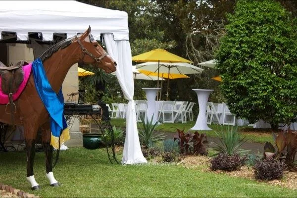 Life-size Horse and Outdoor Setting