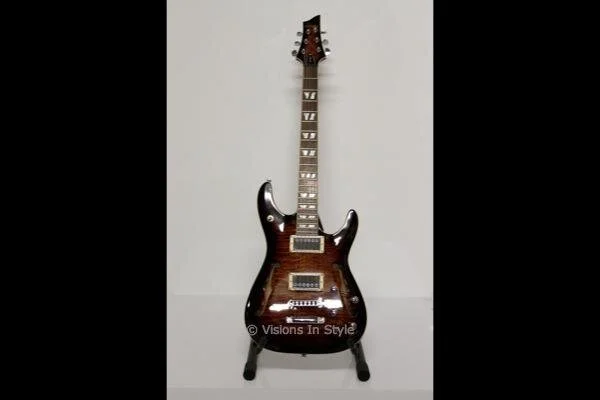 Schecter Guitar