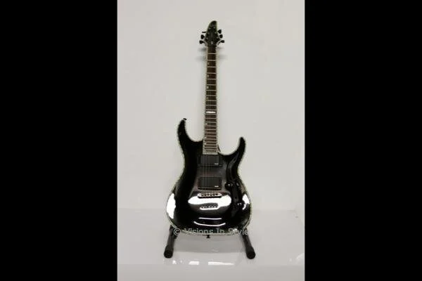 Schecter Guitar