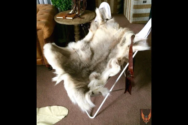 Butterfly Chair with Wolf Throw