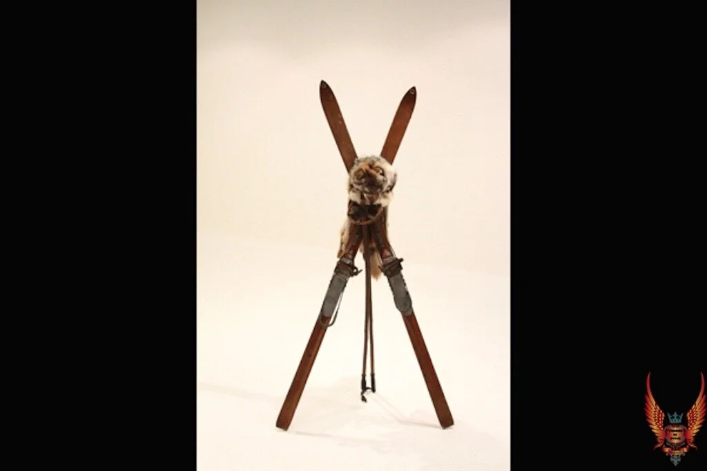 Fox and Vintage Ski Display