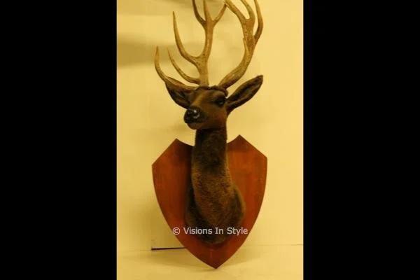 Mounted Deer Head