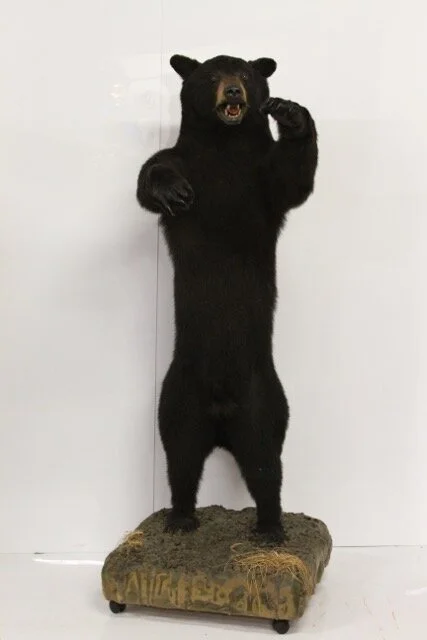 Life-size Standing Bear