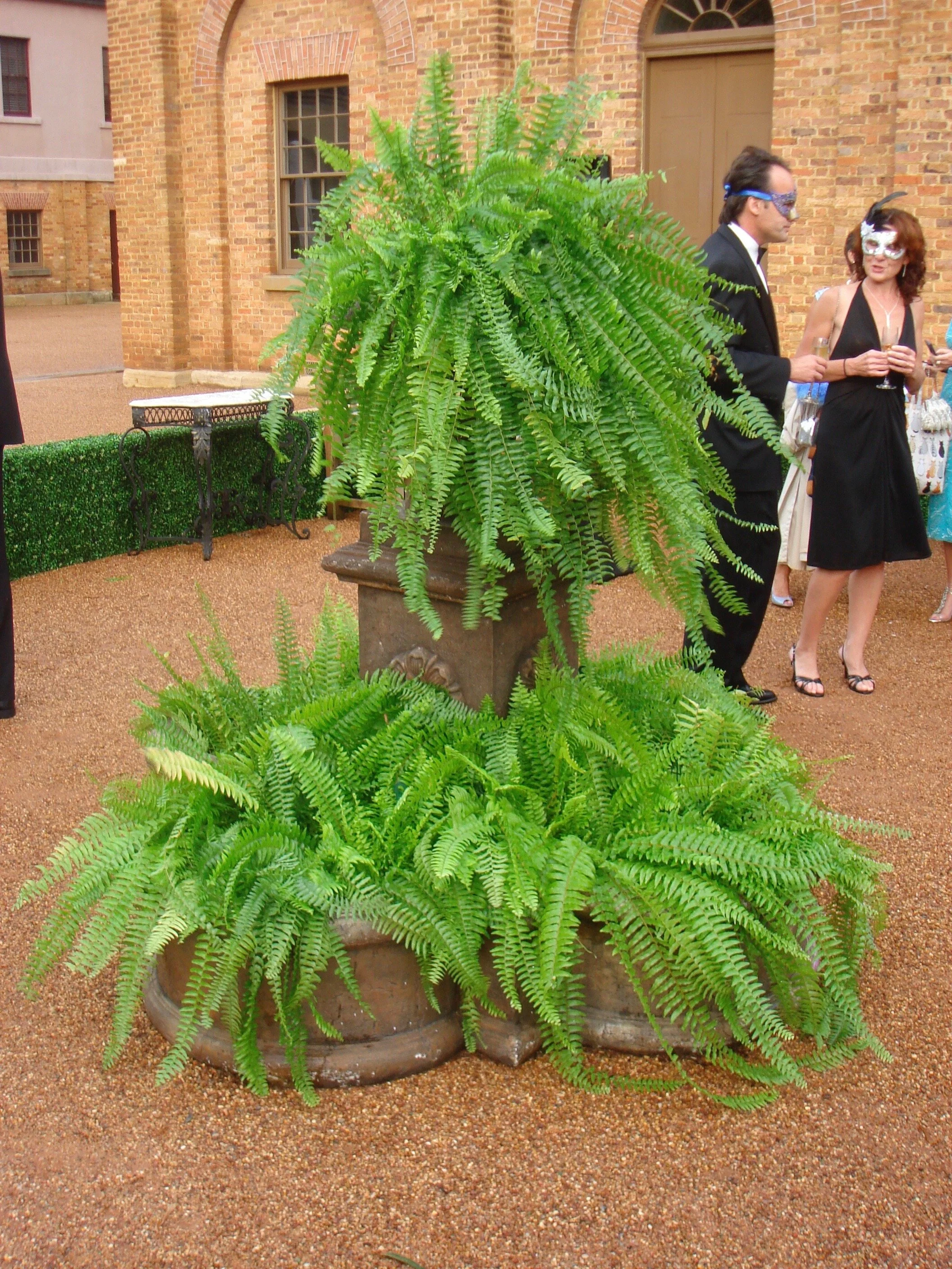 Tuscan fountain.jpeg