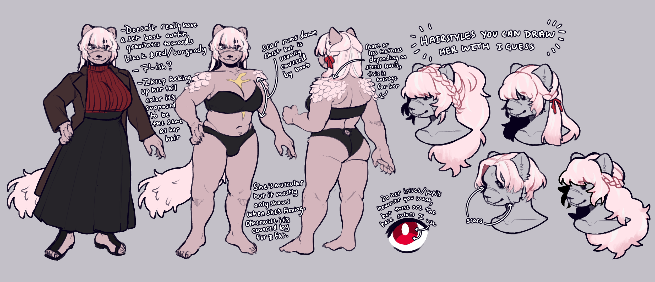 ama reference v2.png