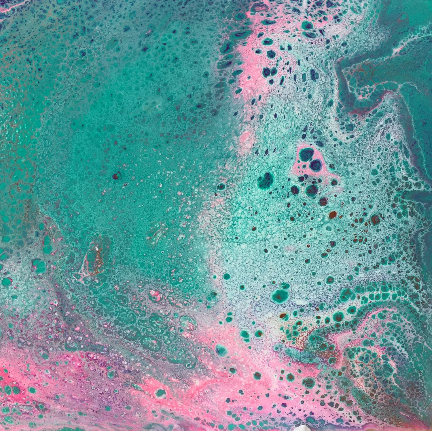 CJH_Pink Melody.jpeg