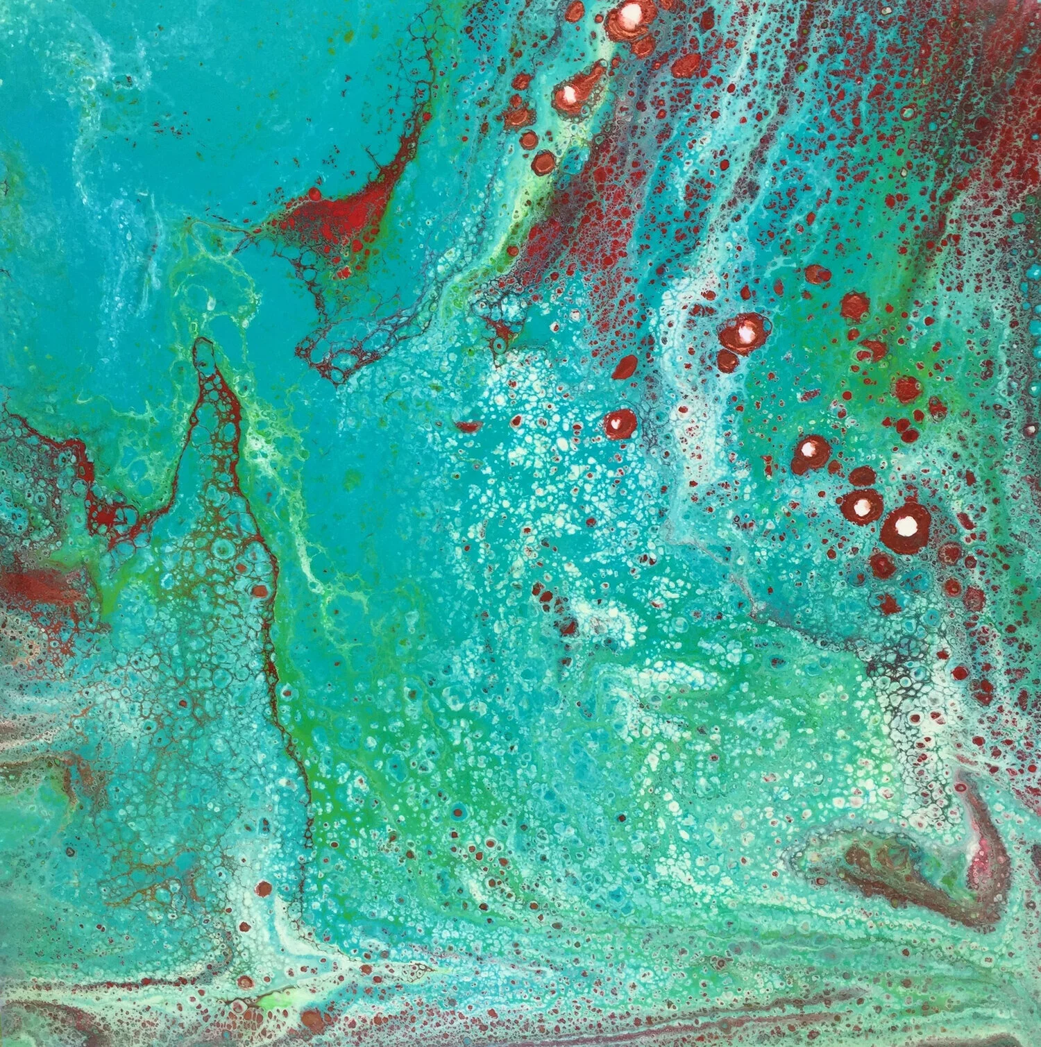 CJH_Fantasy Land.jpeg