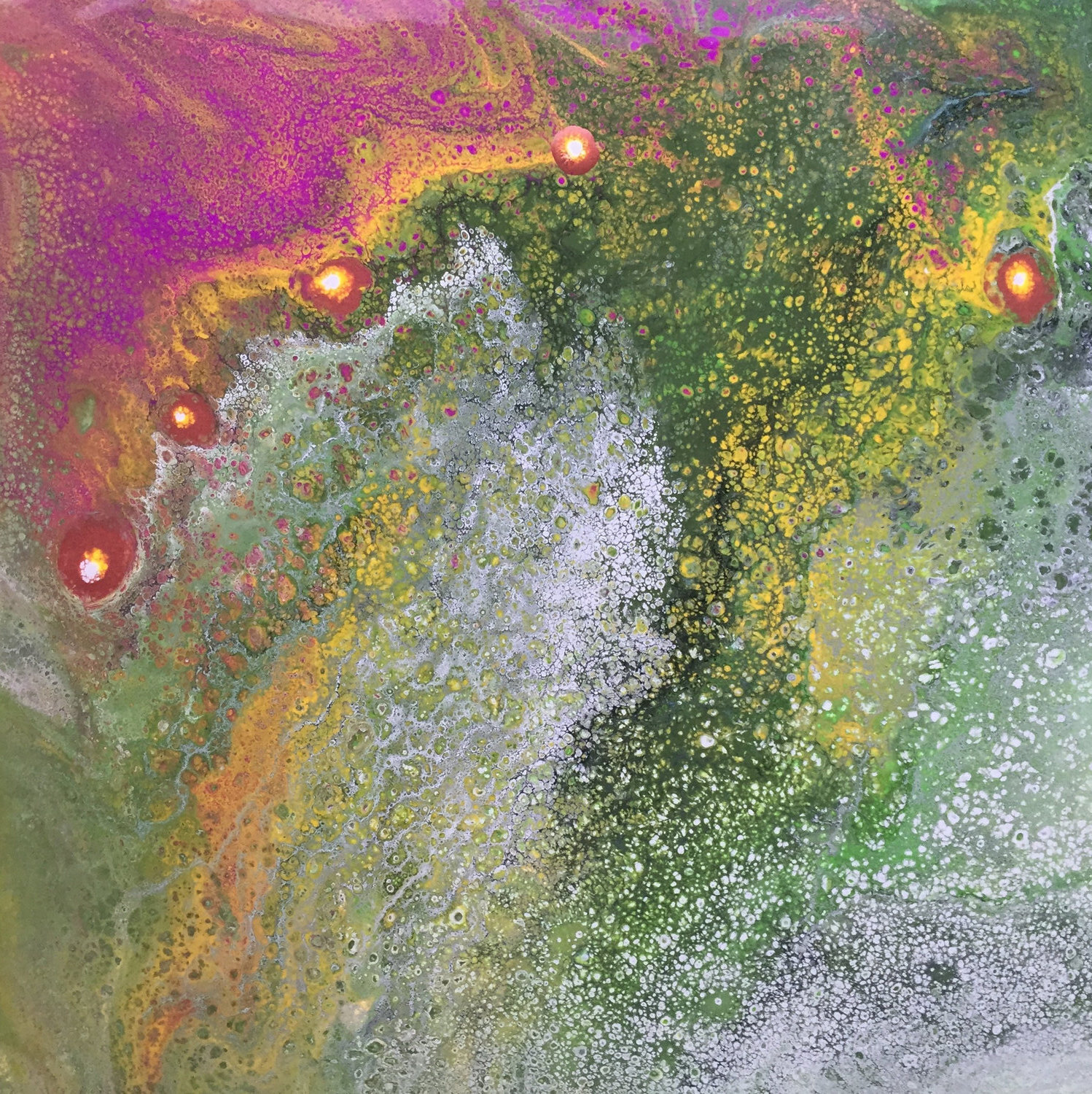 CJH_Catch A Falling Star.jpeg