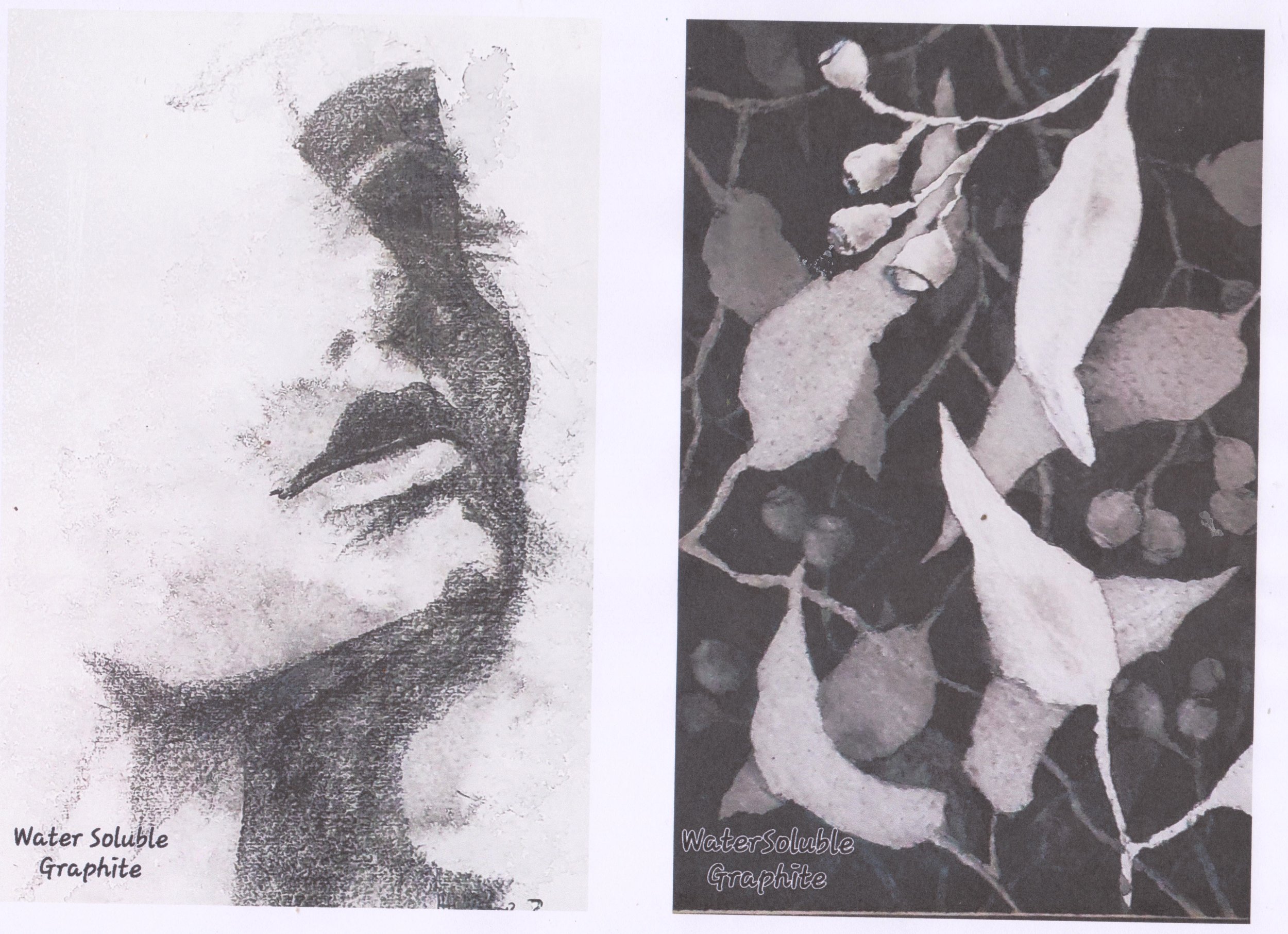 ws graphite face and leaves.jpg