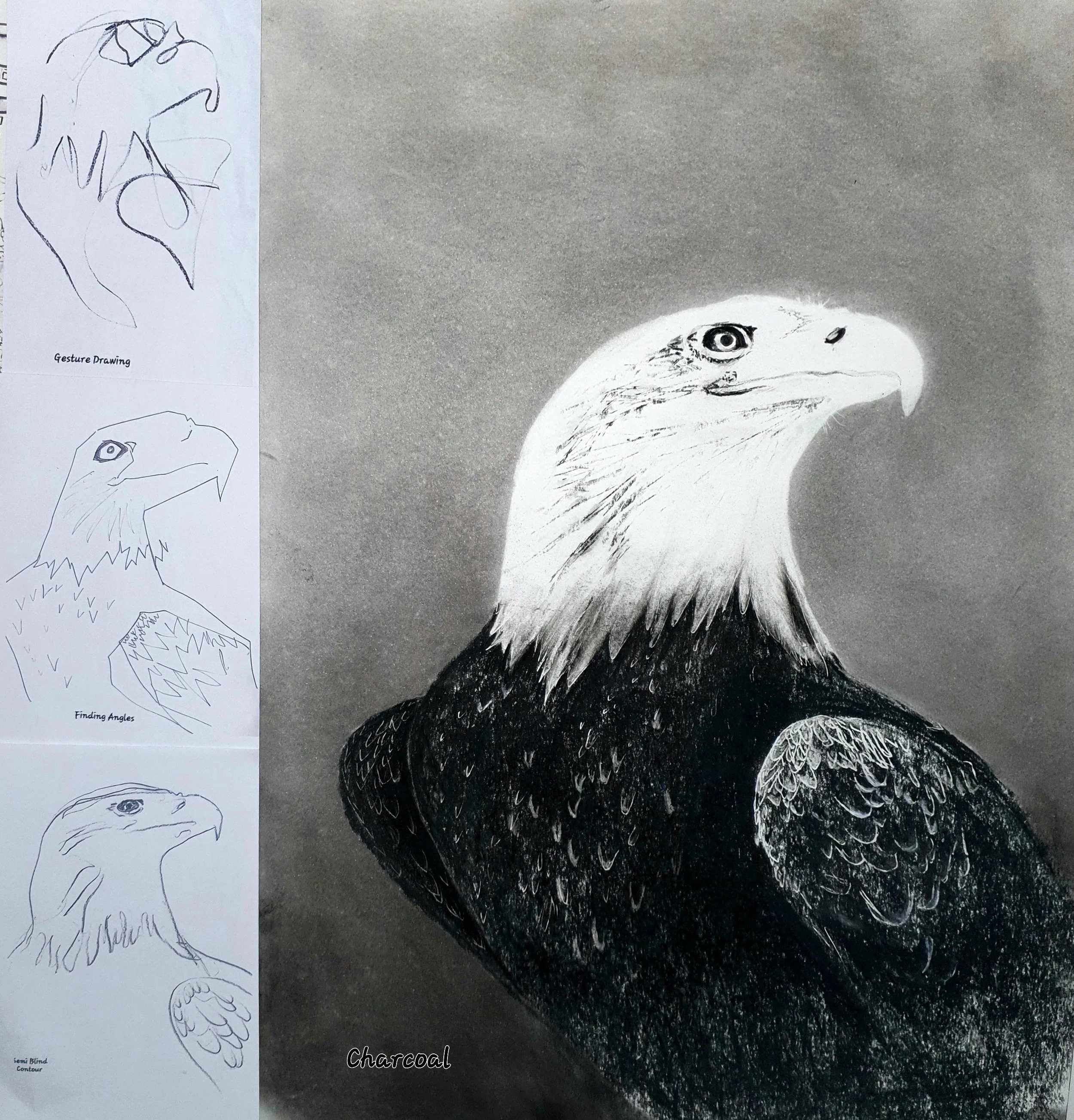 Eagle process.jpg