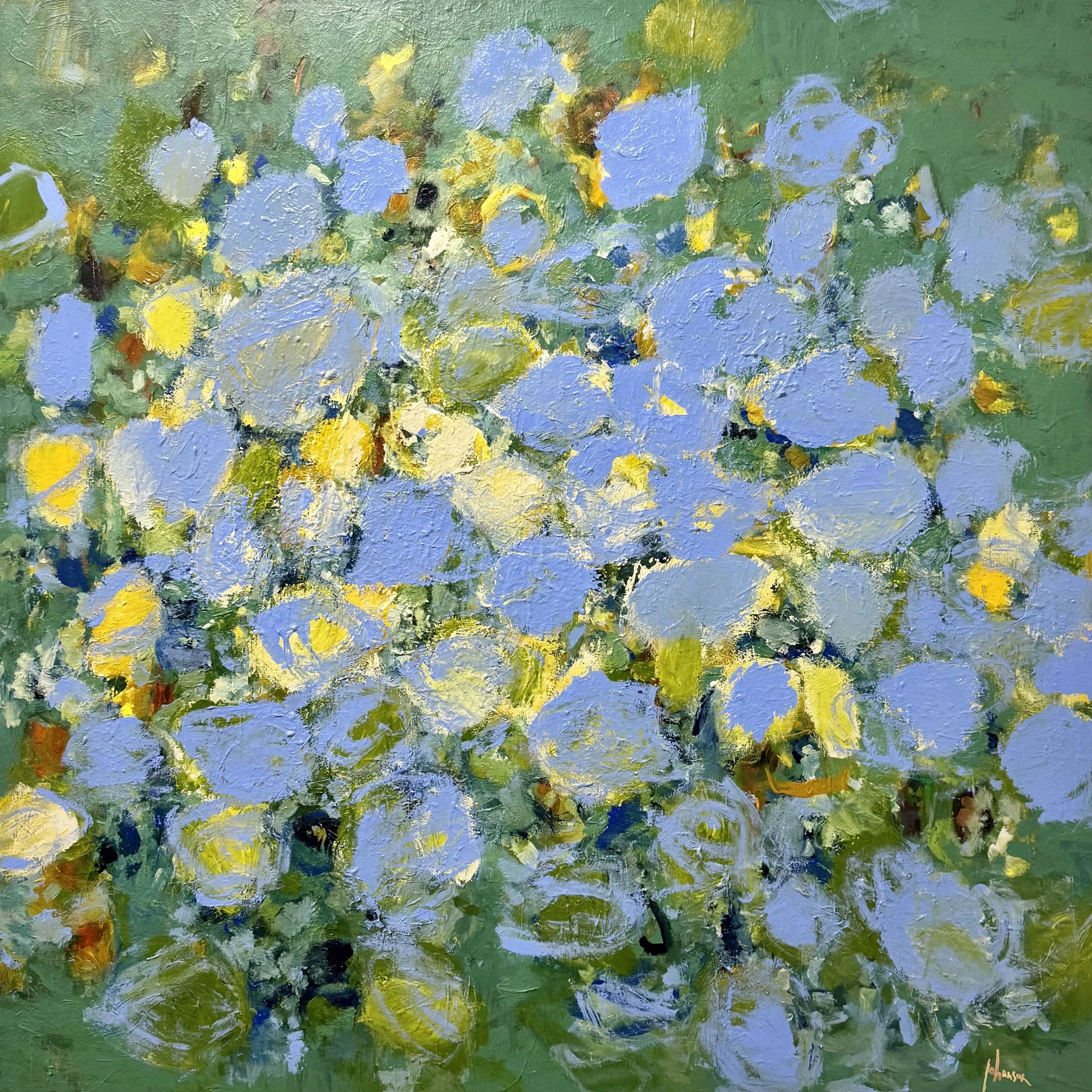 Hydrangea (Endless Summer)