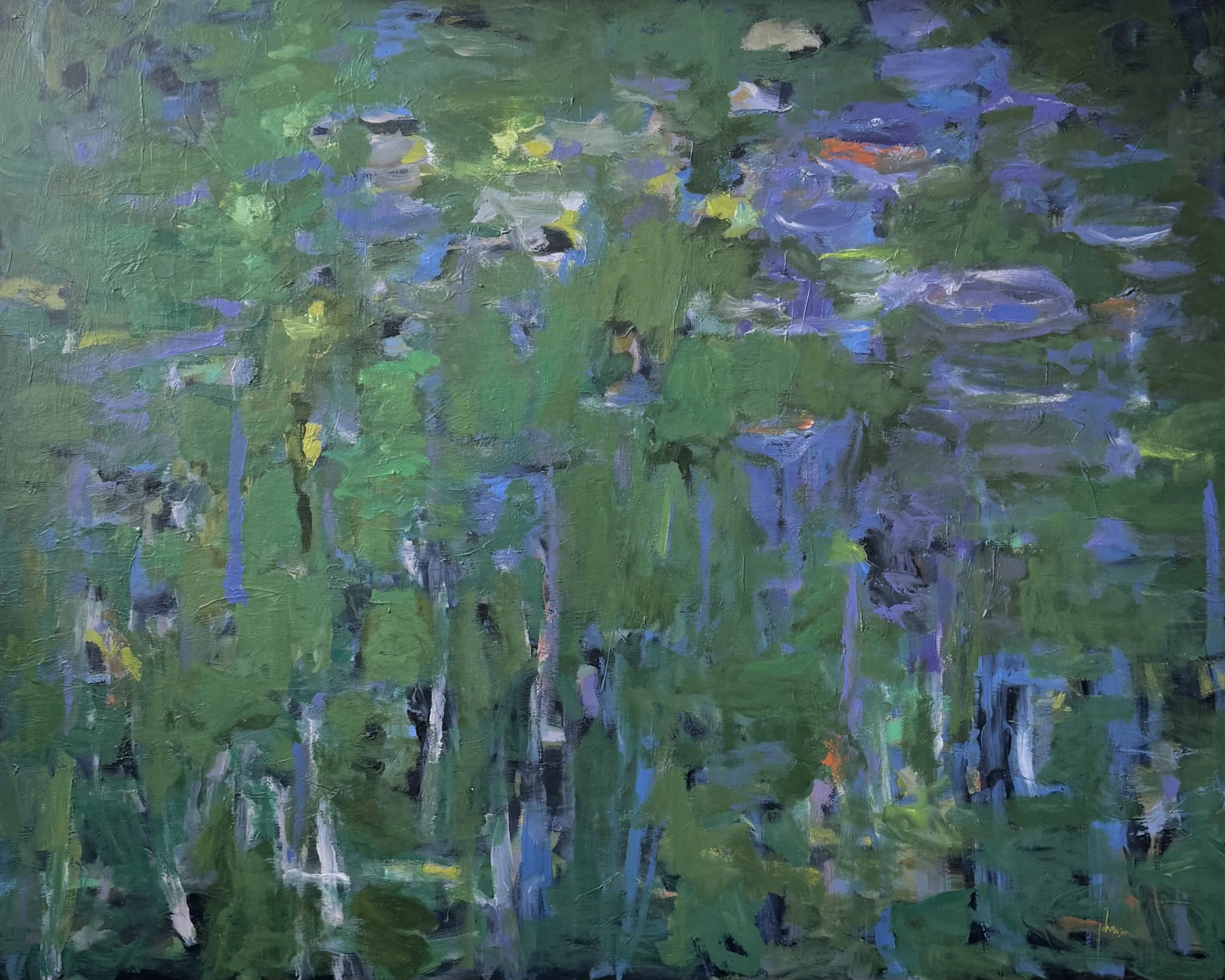 Lily Pond