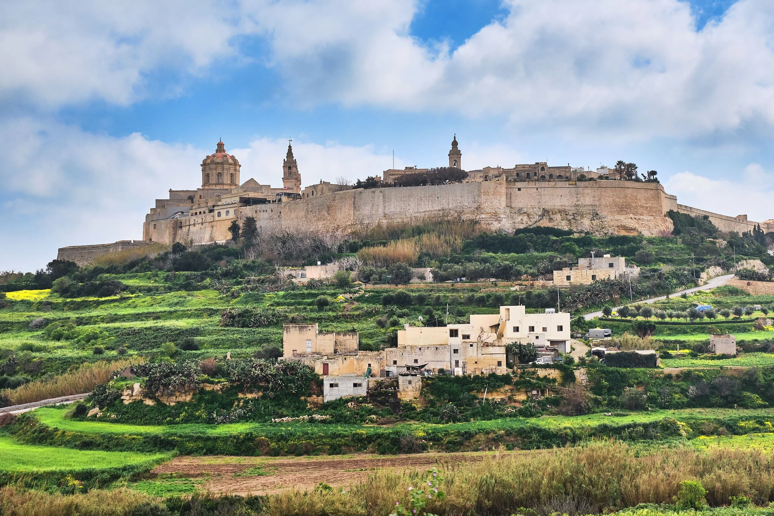 Copy of IMG0060-min.jpg