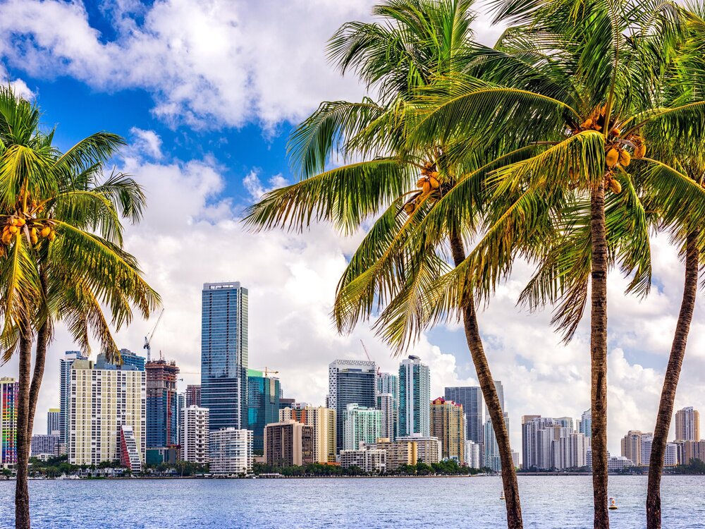 The Best Time to Visit Miami