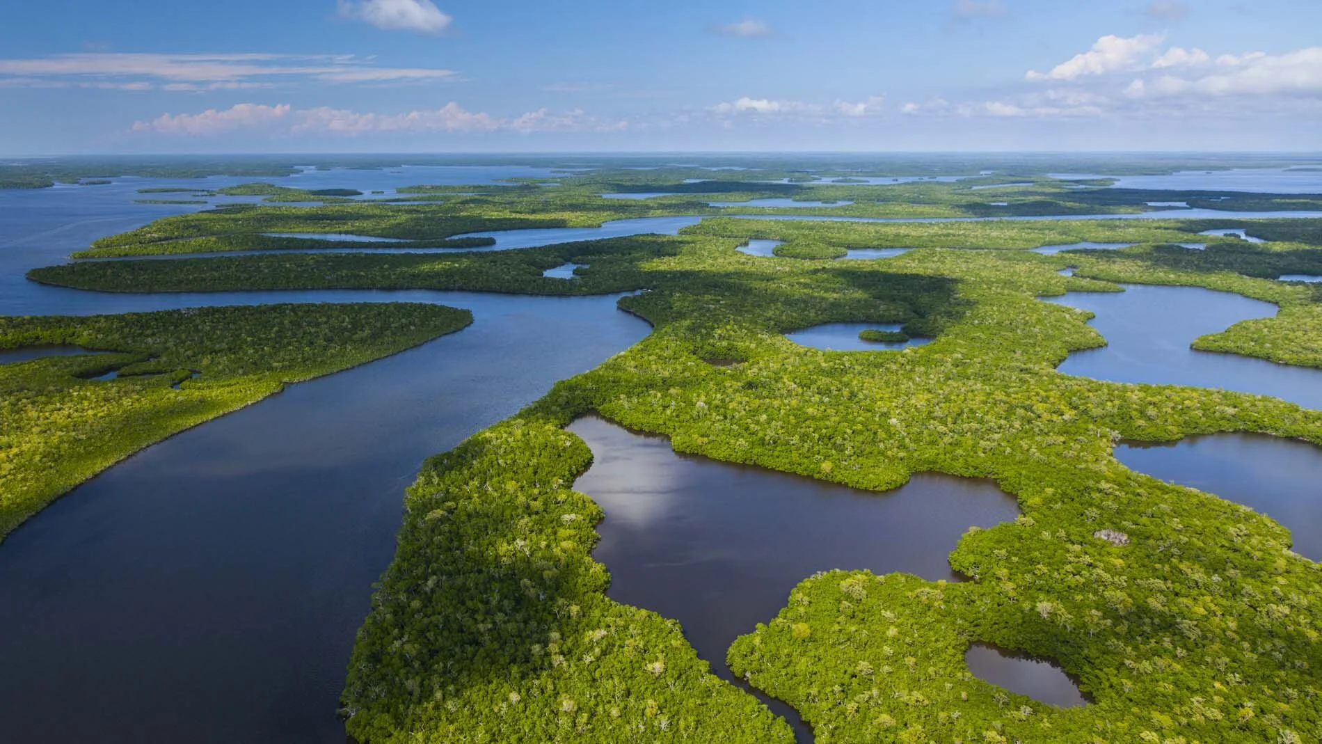 Miami - Everglades, Adobe Stock .jpg