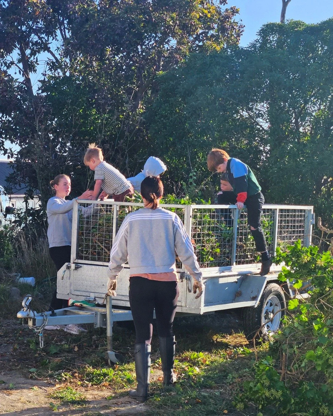 Another weekend, another working bee 🐝 - this time at Zia's.

The sun was out, the gumboots were on - and no family member was exempt. 

Ivy was ripped out, trees were cut back, the trailer was filled - and the landscape was generally wrestled into 
