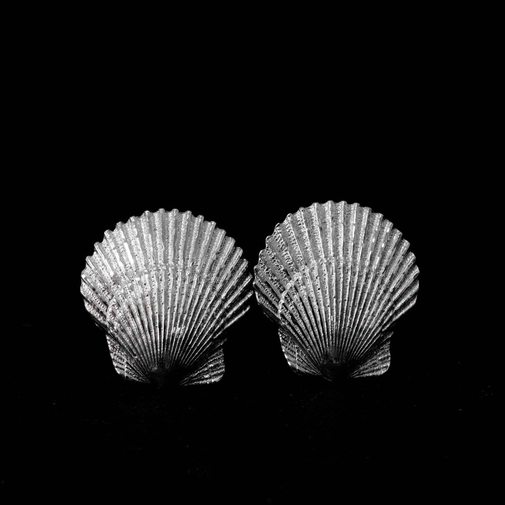 Scallop Shell Studs by Nature by Day Jewellery
