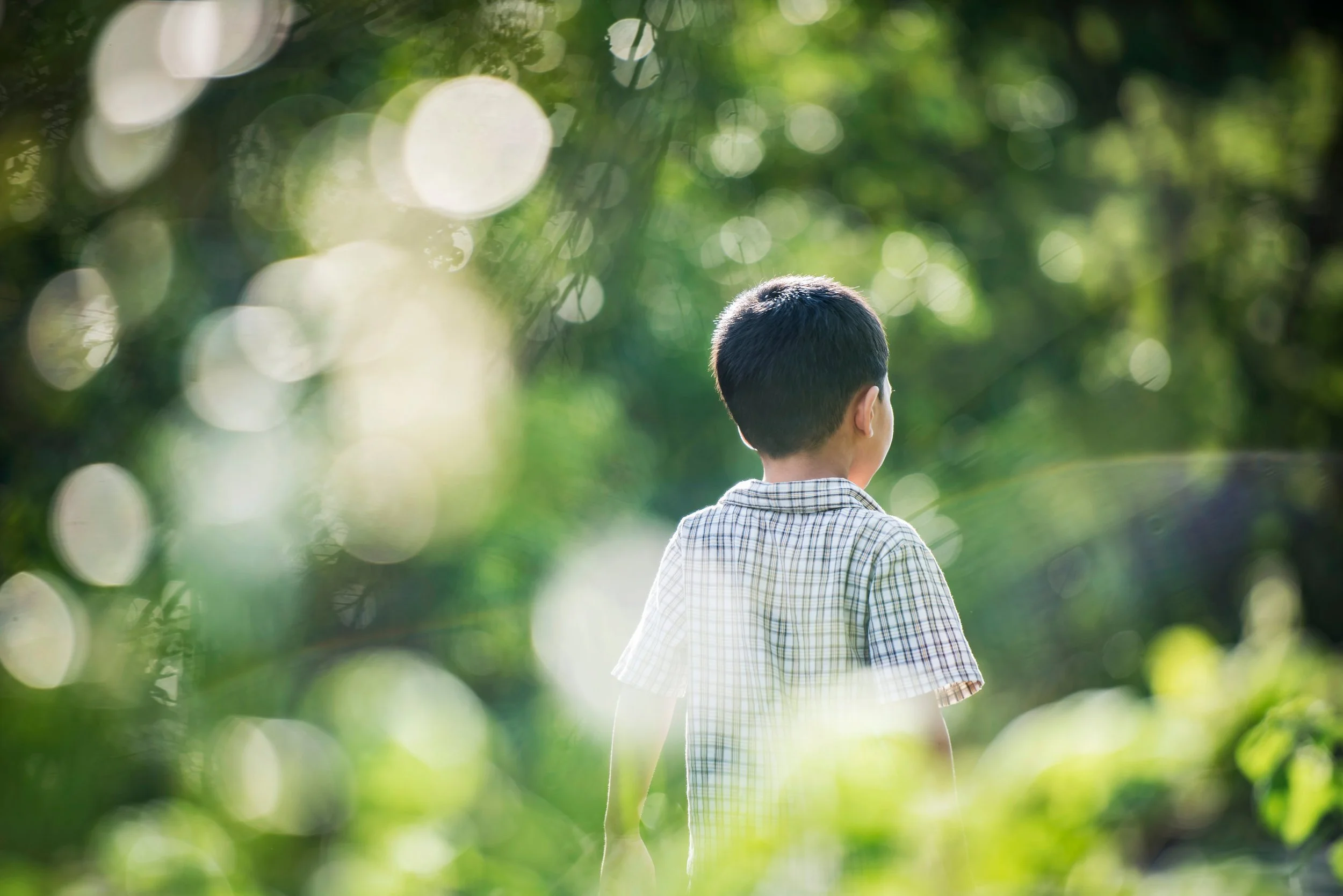 close-up-rear-little-boy-walking-park.jpg