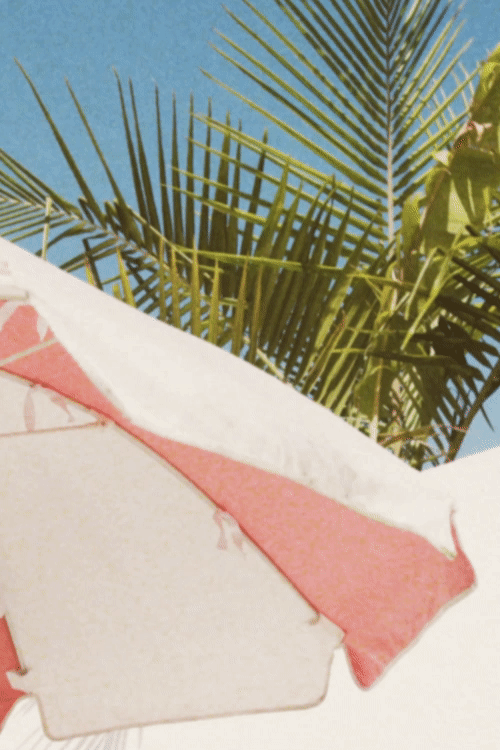 PALM.gif