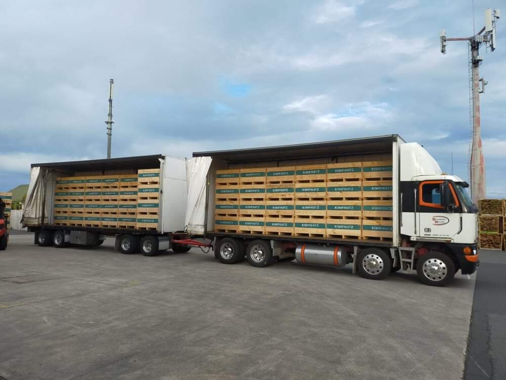 New Fruit Bins Look Great