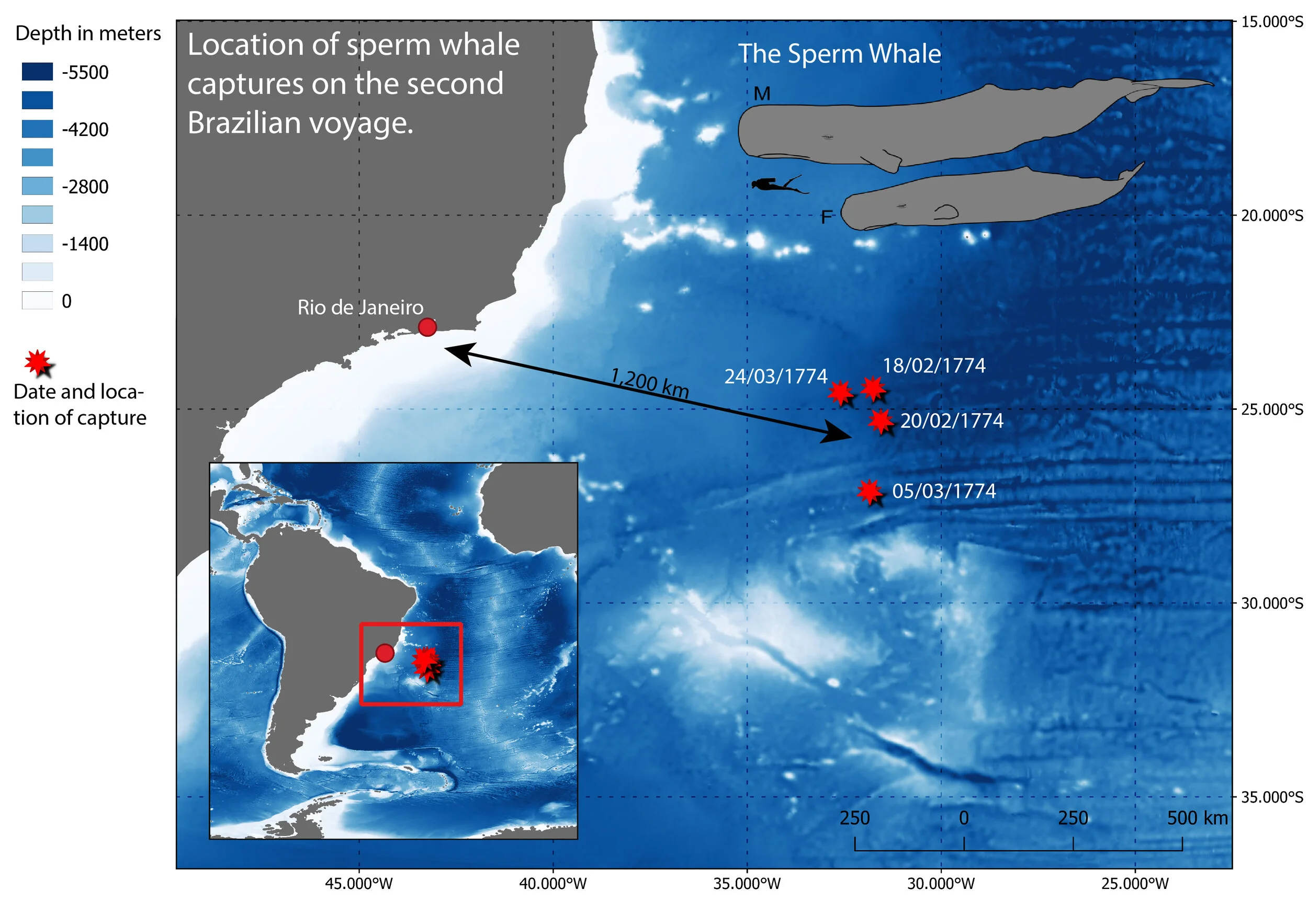 Sperm Whale Captures 18th Century Brazil 