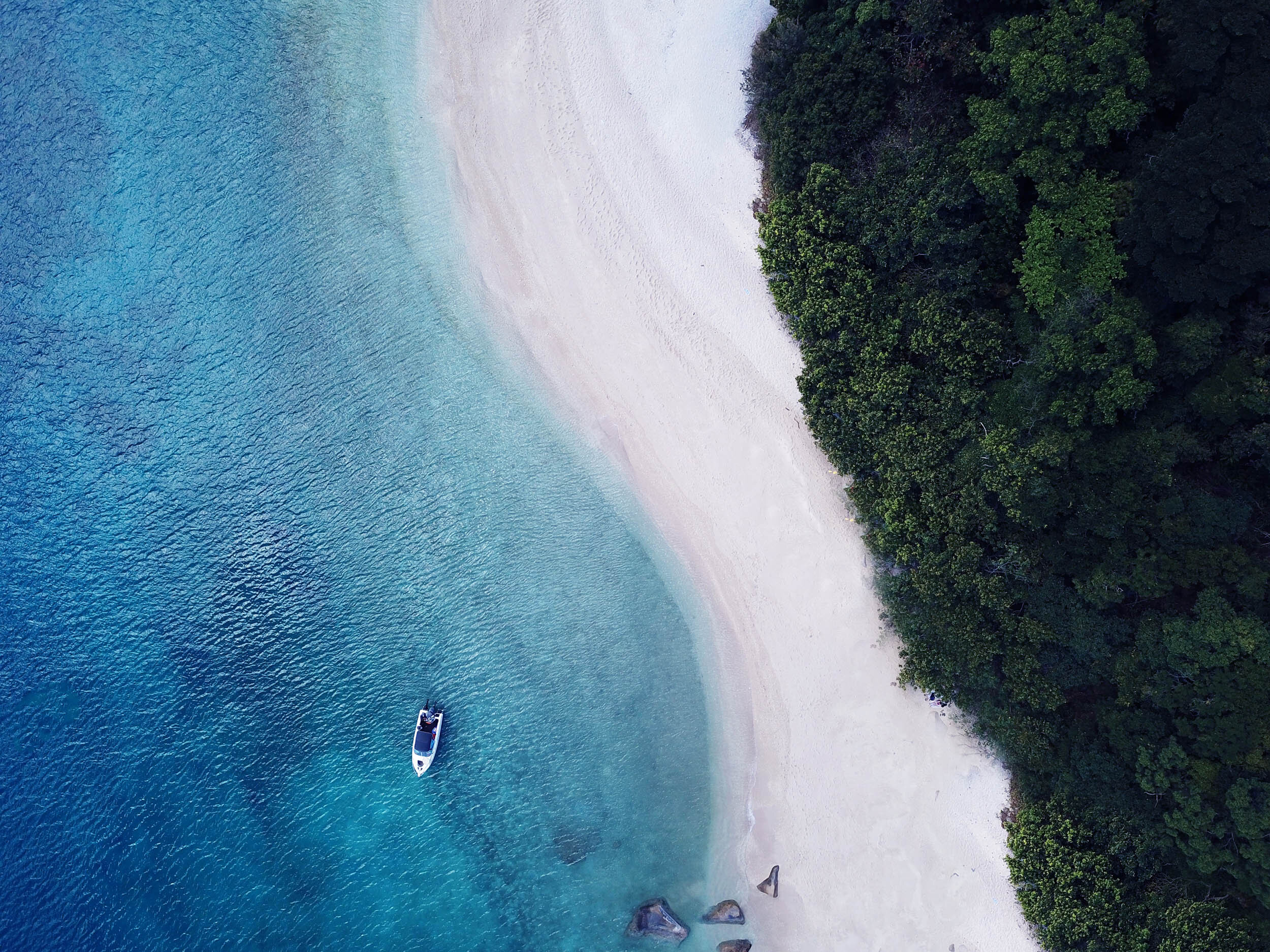 drone_fitzb.jpg