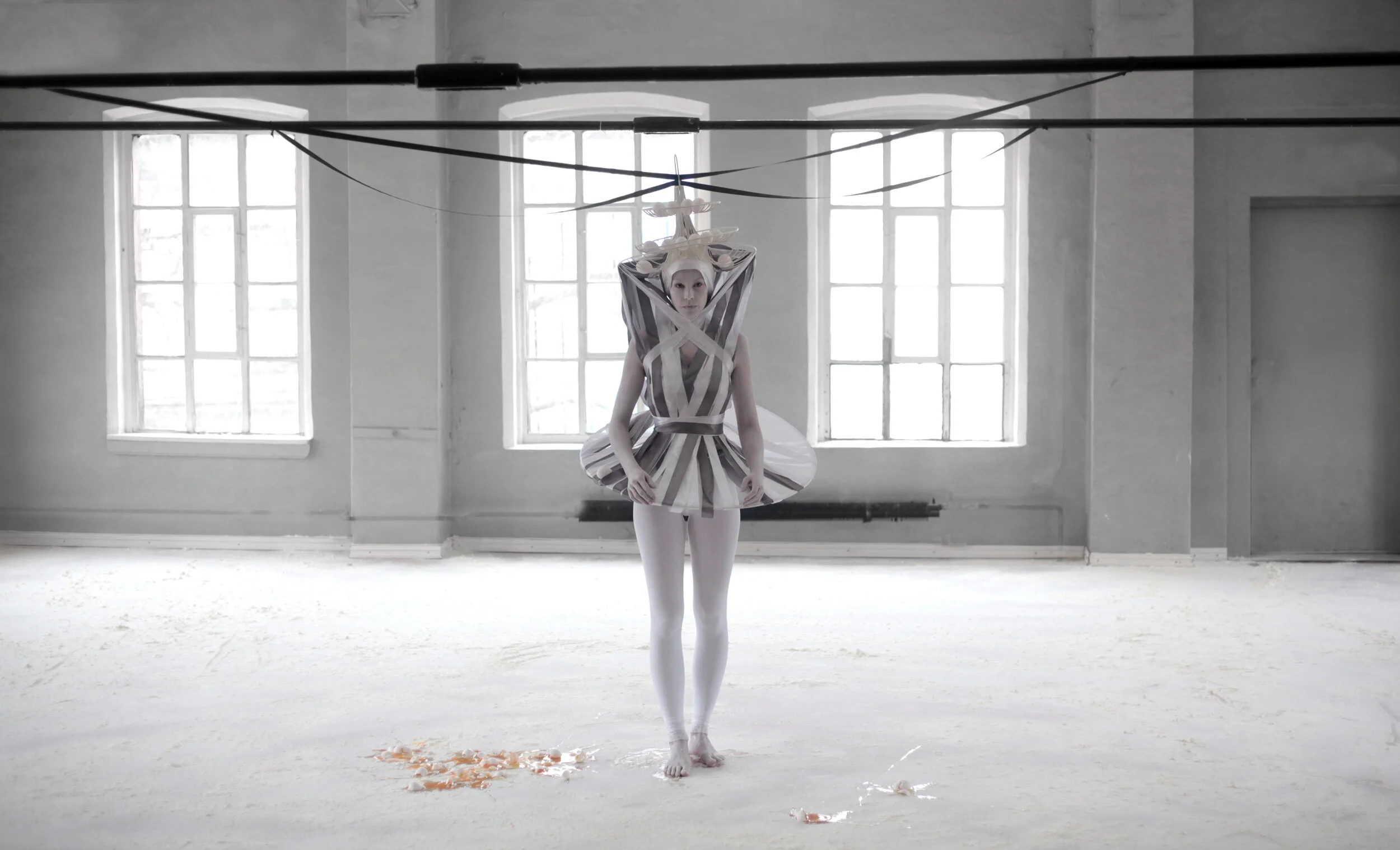  Axis coryphée, short film. 