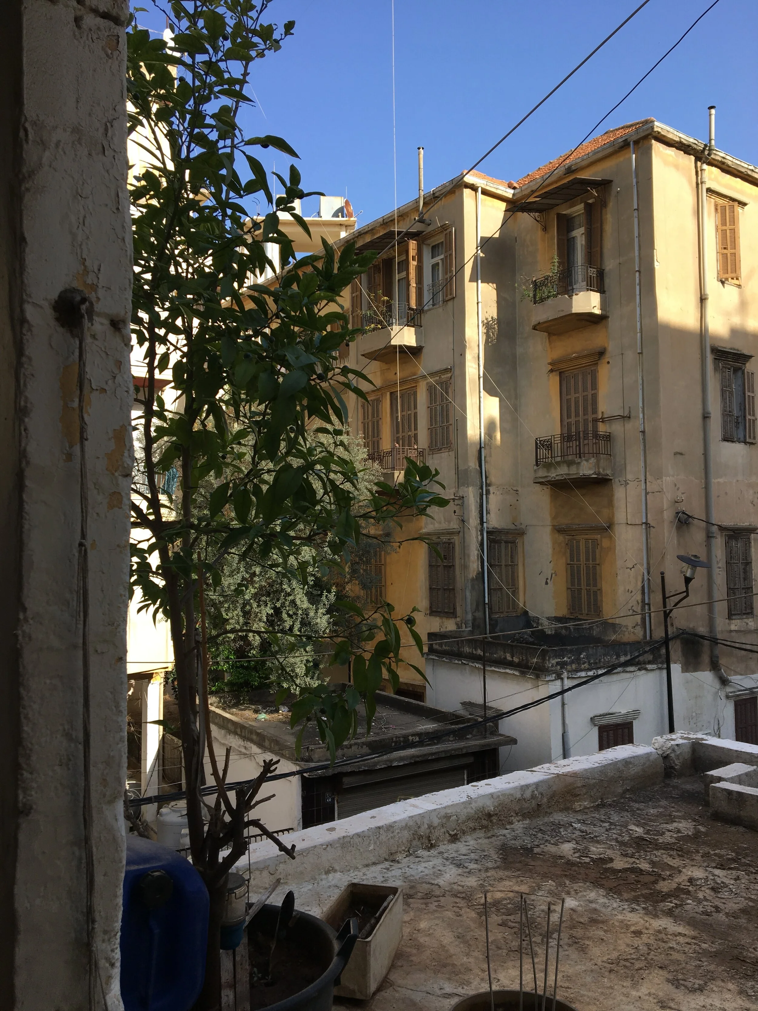 Citizen Scientist Opportunity in Mar Mikhael