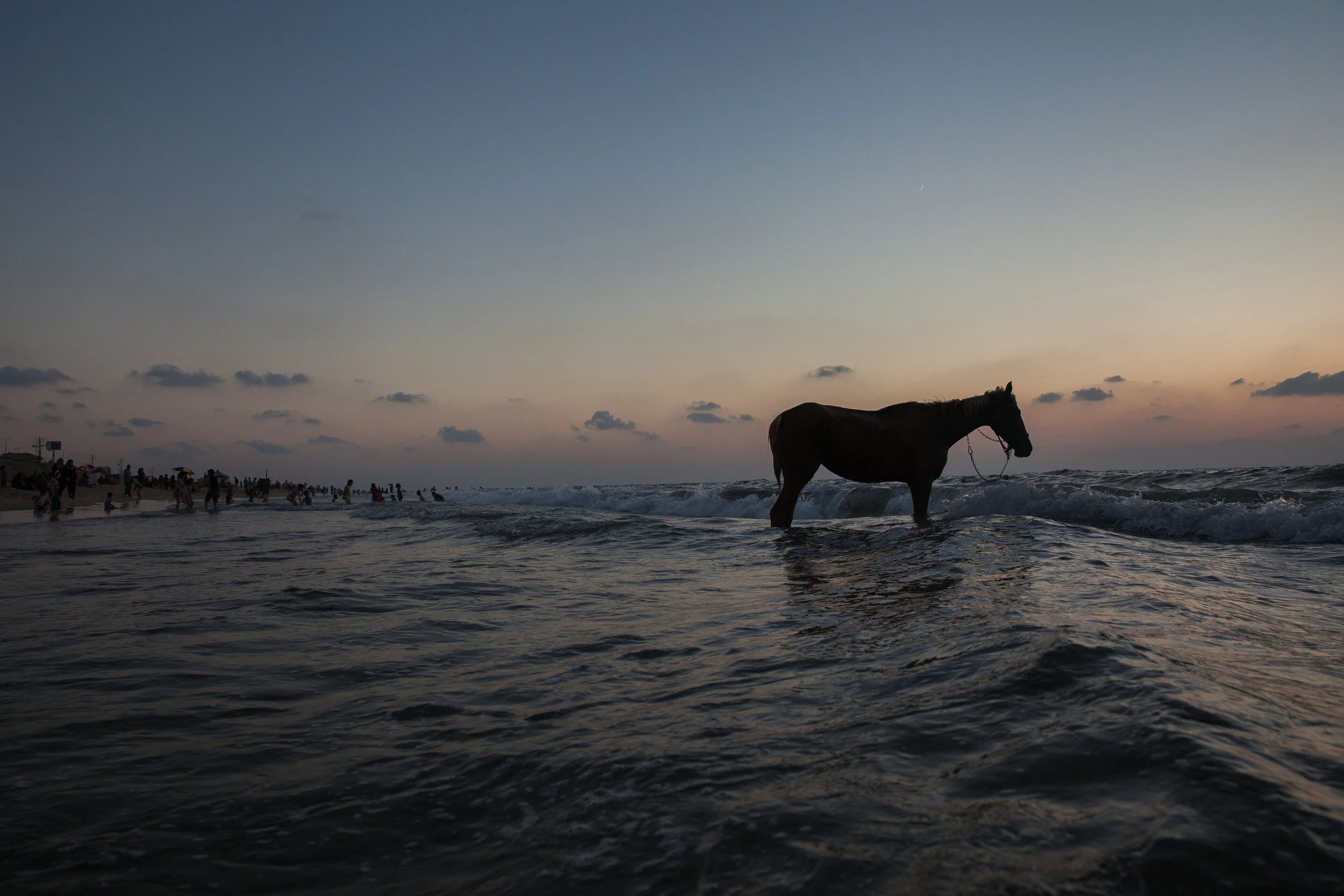 LukeCody_Gaza_Palestine-1.jpg