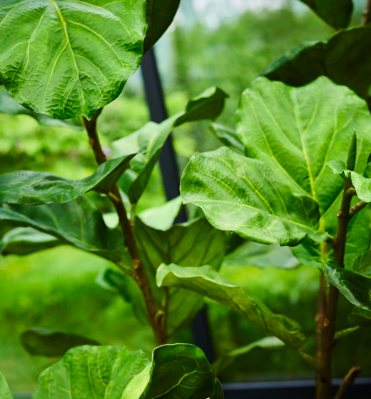 Schermafbeelding 2020-12-09 om 21.29.34.png