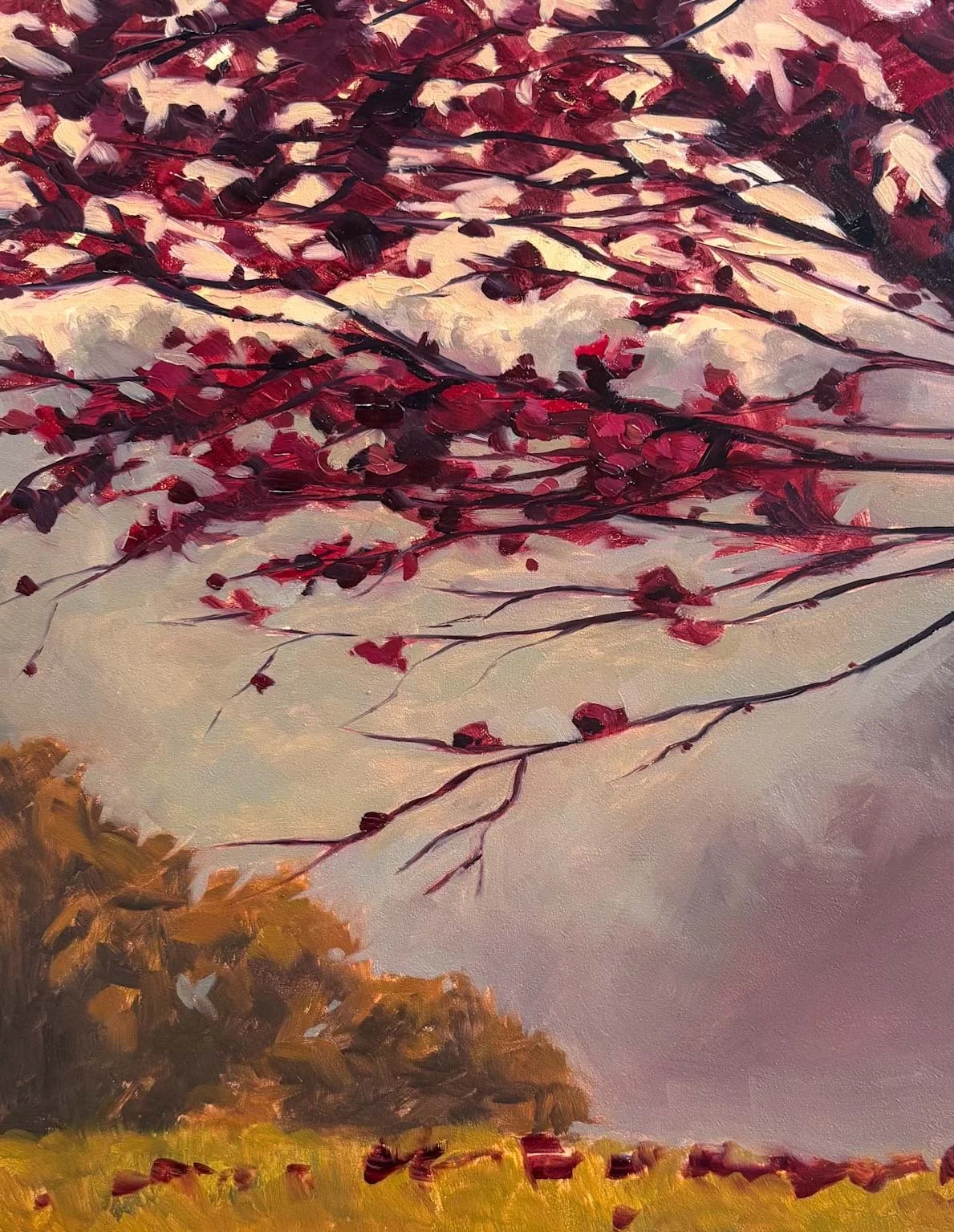 autumn shropshire.JPEG